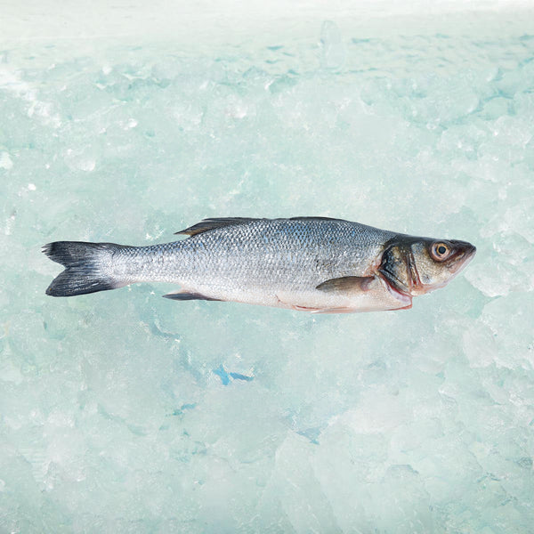 OSO 希臘養殖海鱸魚 - ASC (預先包裝)  (300g)