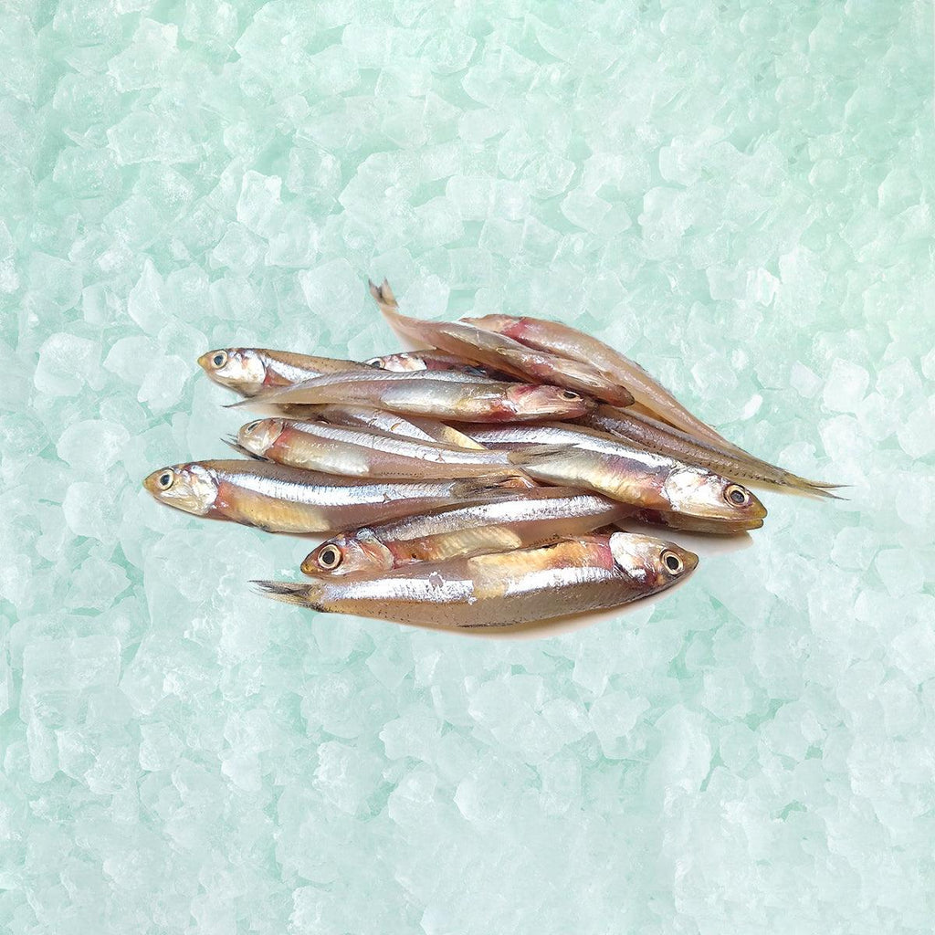 MARUSATSU 日本鹿兒島縣鹽子持多春魚[經解凍處理]  (8pcs)