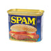 HORMEL 原味午餐肉  (340g)