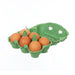 SUNNY QUEEN Organic Free Range Egg - Large  (6pcs)