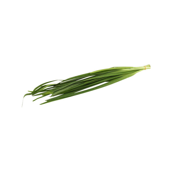 Kenyan Chives (Pack)  (1pack)