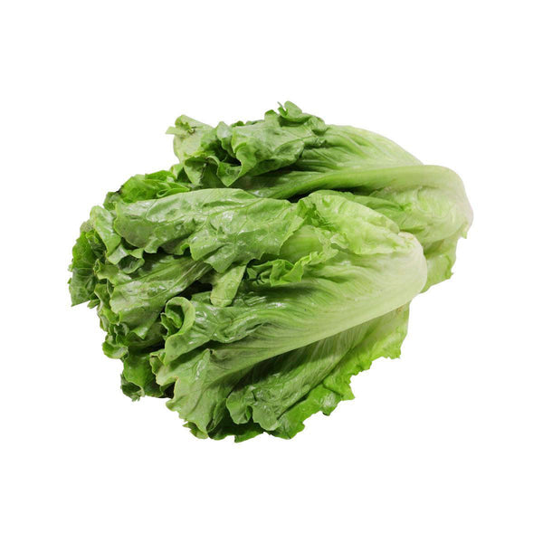 Chinese Organic Lettuce - No Chemical Pesticide And Fertilizers Used  (250g)
