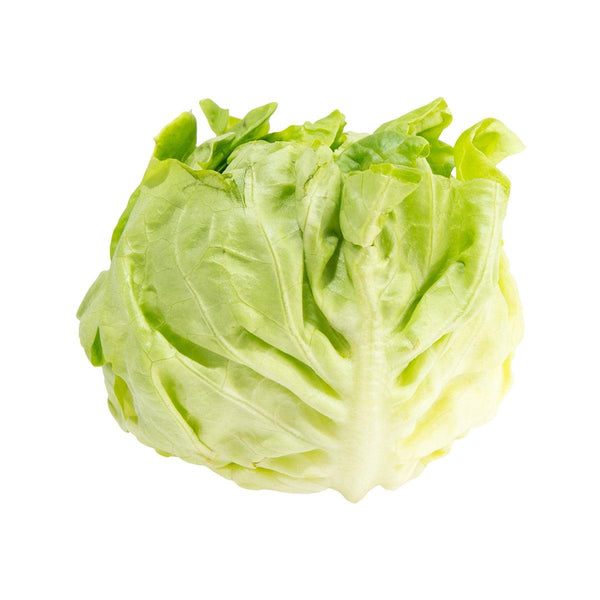 法國牛油生菜  (600g)