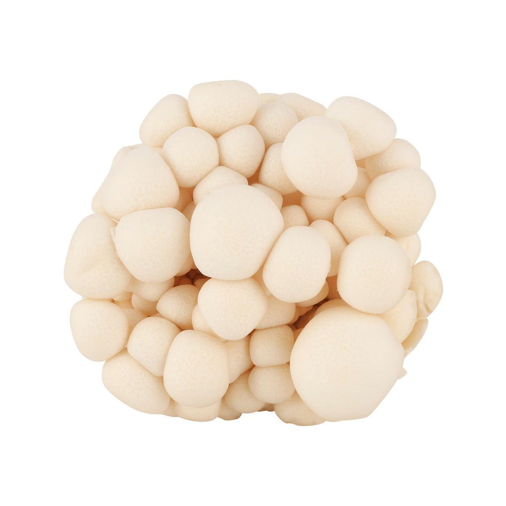 日本白本菇  (100g)