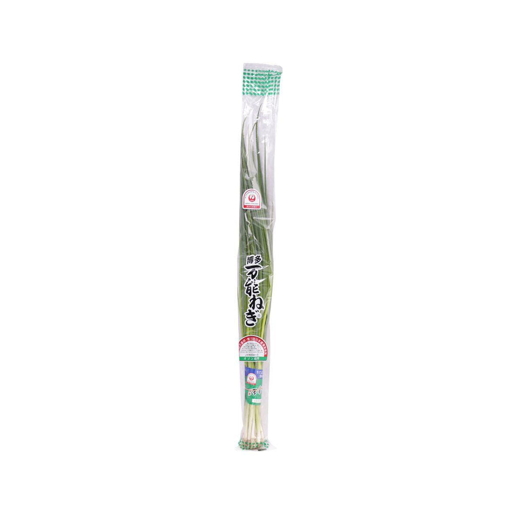 日本萬能蔥  (1pack)
