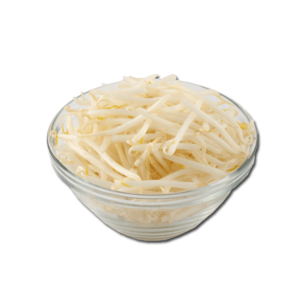 日本豆芽(1個)