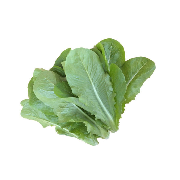 本地有機羅馬生菜  (600g)