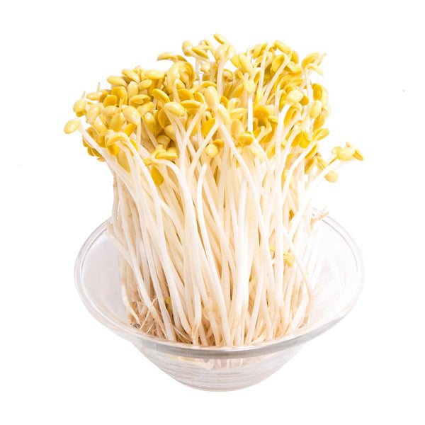 本地有機大豆芽  (400g)