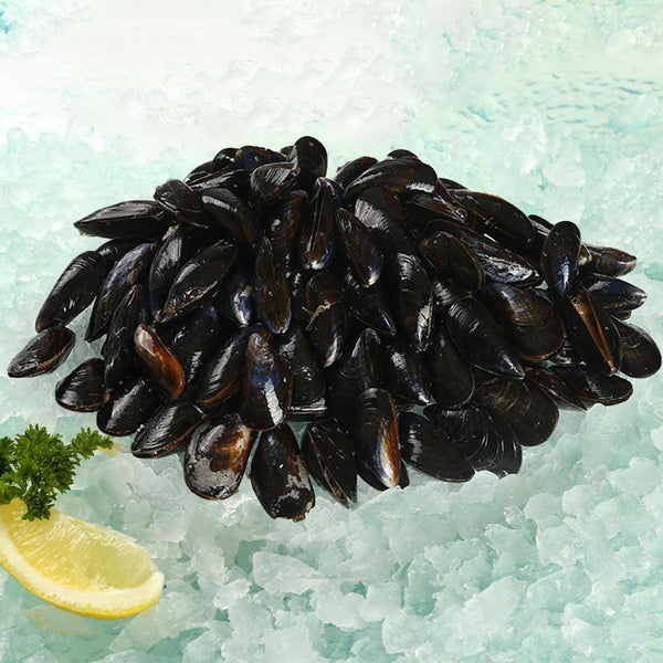 HOLLAND ROYAL 荷蘭活青口 (珍寶)  (1kg)