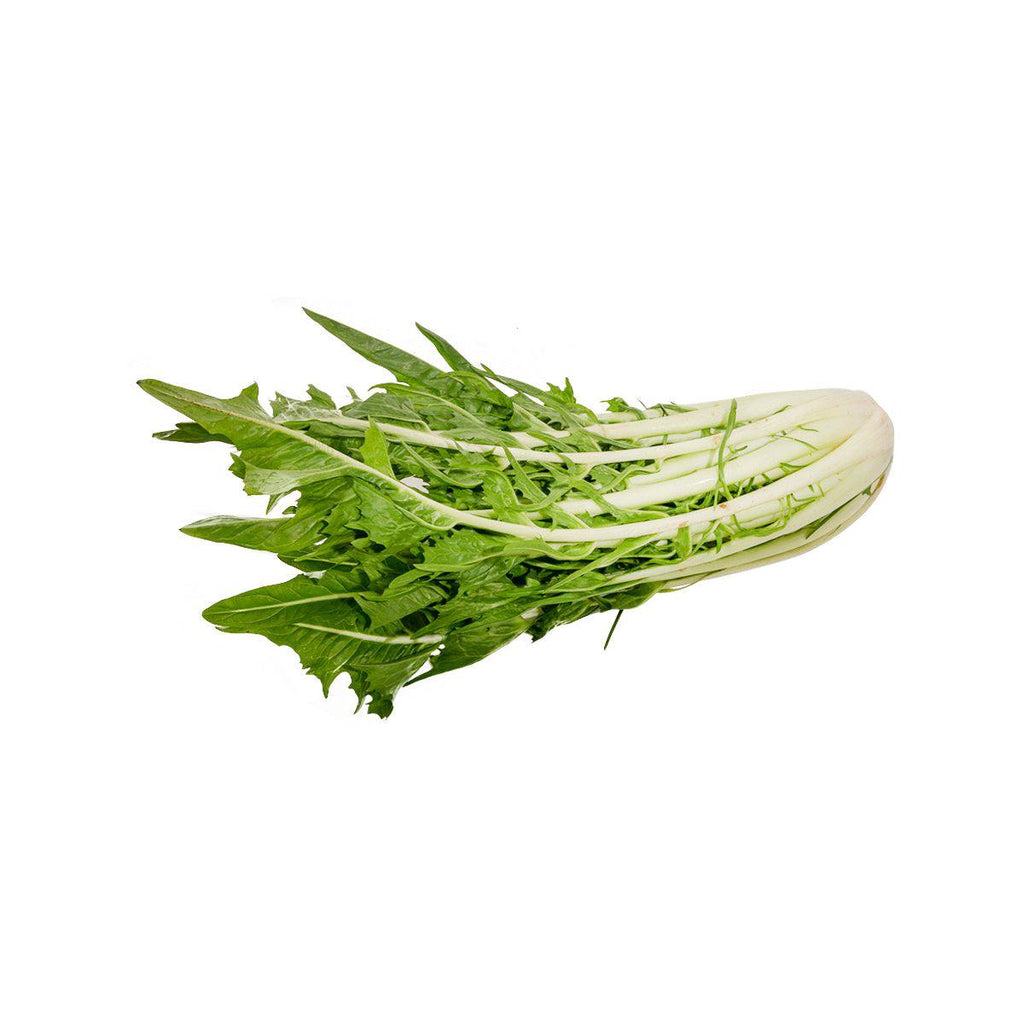 意大利Puntarella菊苣  (500g)