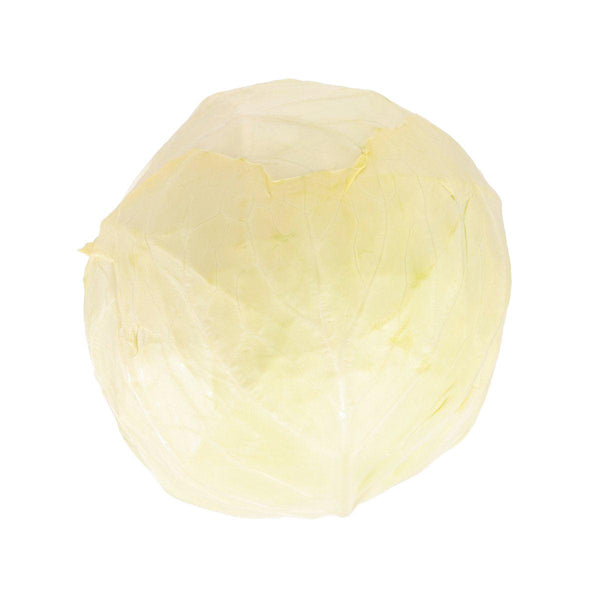 Japan Nagano Green Bowl Cabbage  (300g)