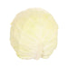 Japan Nagano Green Bowl Cabbage  (300g)
