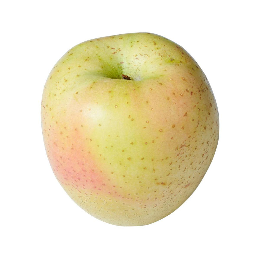 Japanese Ohrin Apple 28's  (1pc)