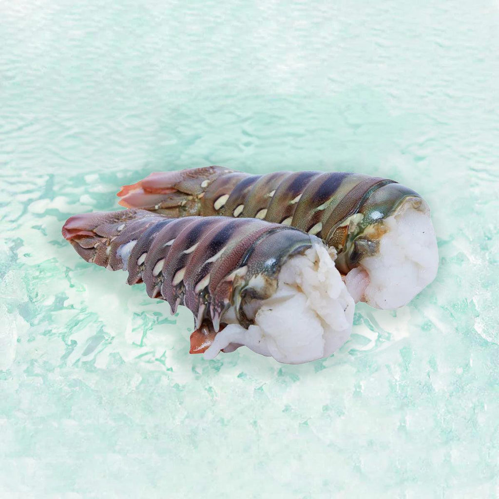 Australia Lobster Tail [Previously Frozen]  (300g)