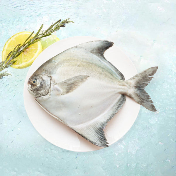 本地野生鷹鯧  (200g)