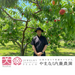Japan Yamanashi Naito Farm Peach (Case) (1box)