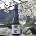 Dassai 23 純米大吟釀 720mL