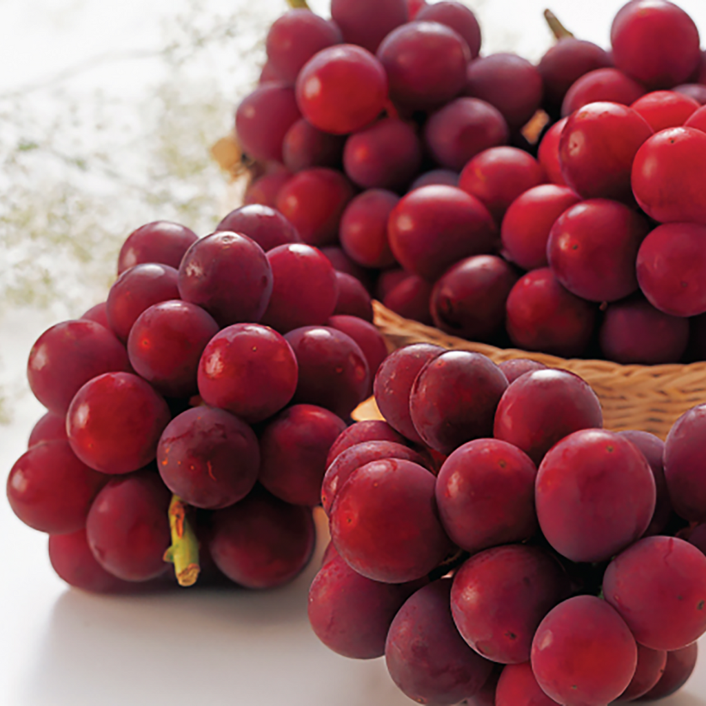 Japanese Ruby Roman Grape (1pack)